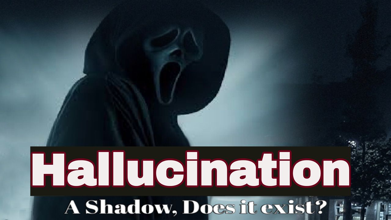 Hallucination A Shadow Does It Exist?