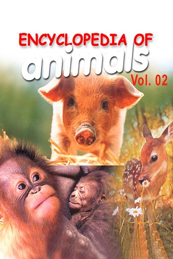 Encyclopedia Of Animals 02