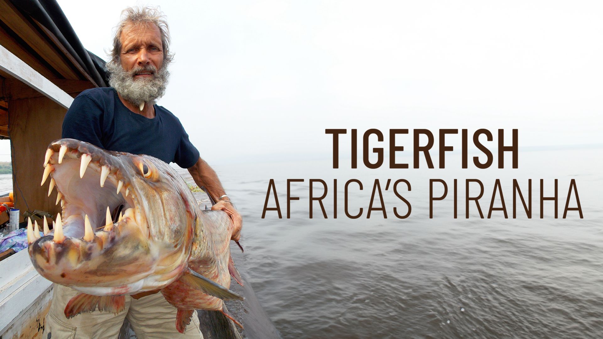 Tigerfish: Africa's Piranha