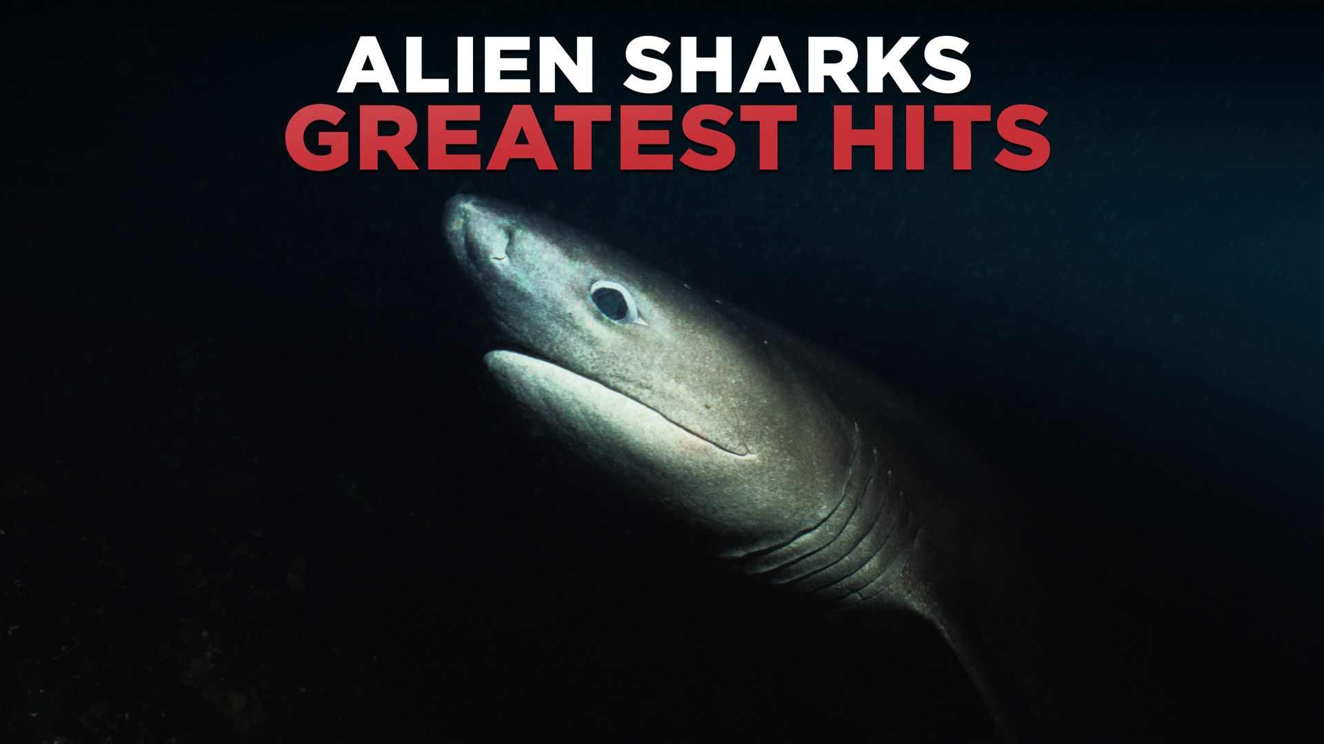 Alien Sharks Greatest Hits