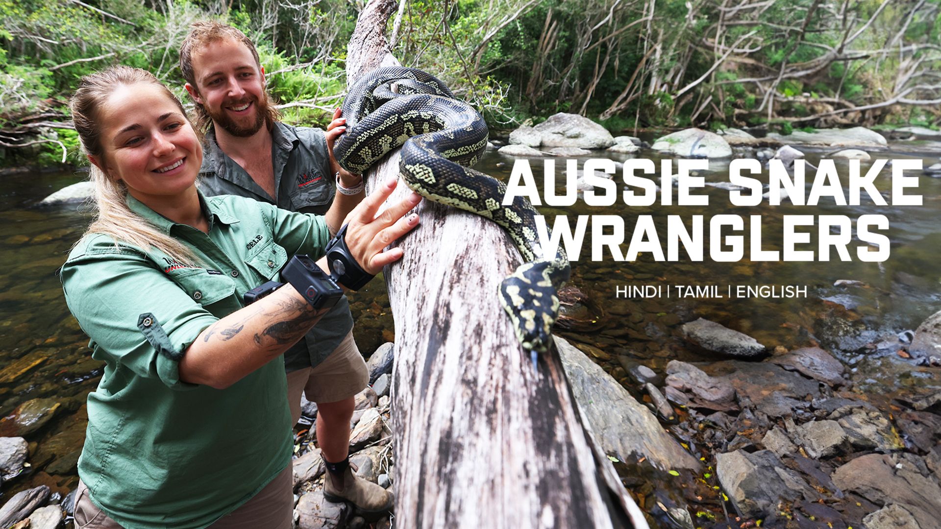 Aussie Snake Wranglers