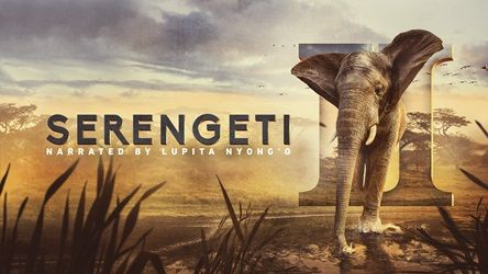 Serengeti