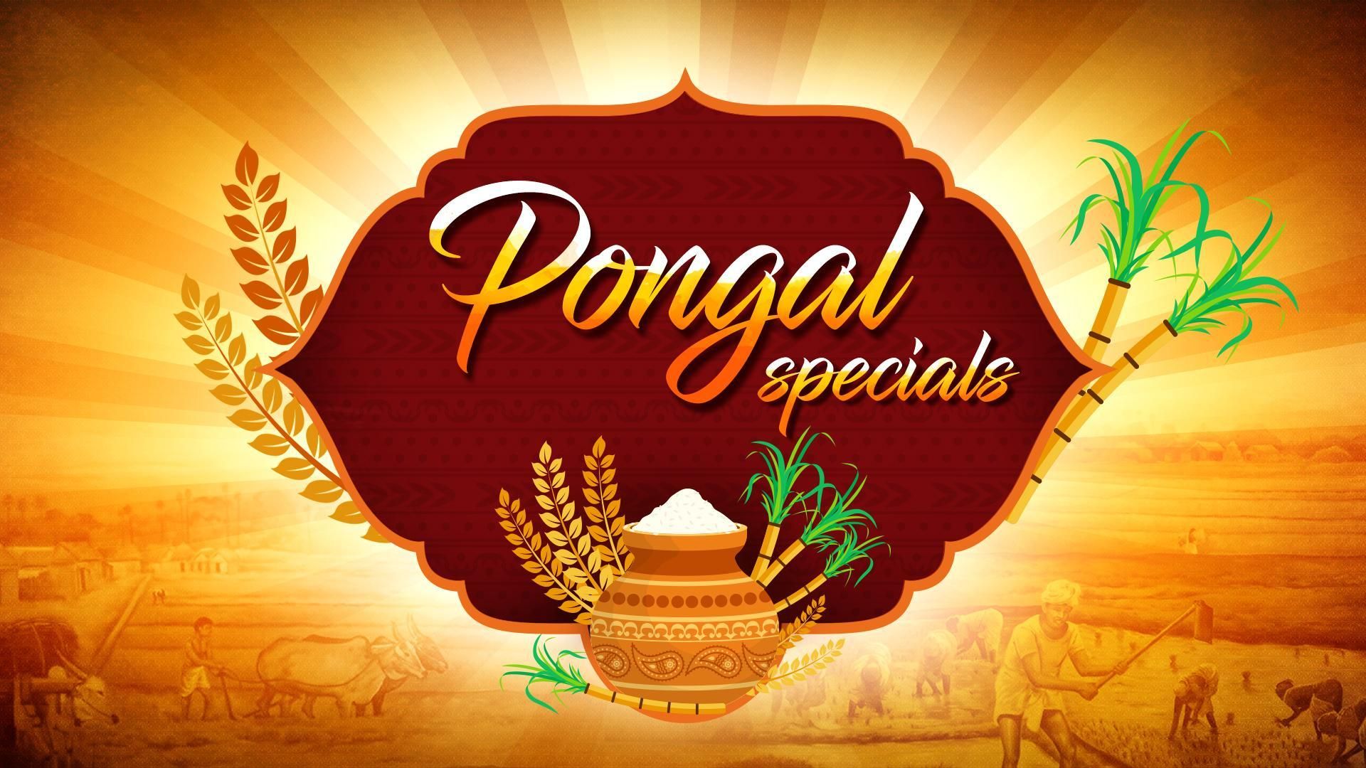 Pongal Special - 2018