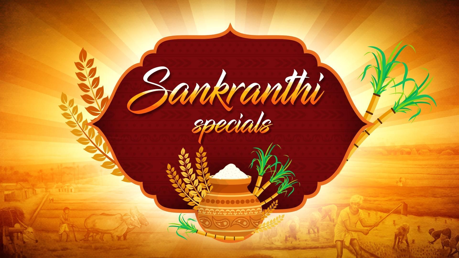 Sankranthi Specials