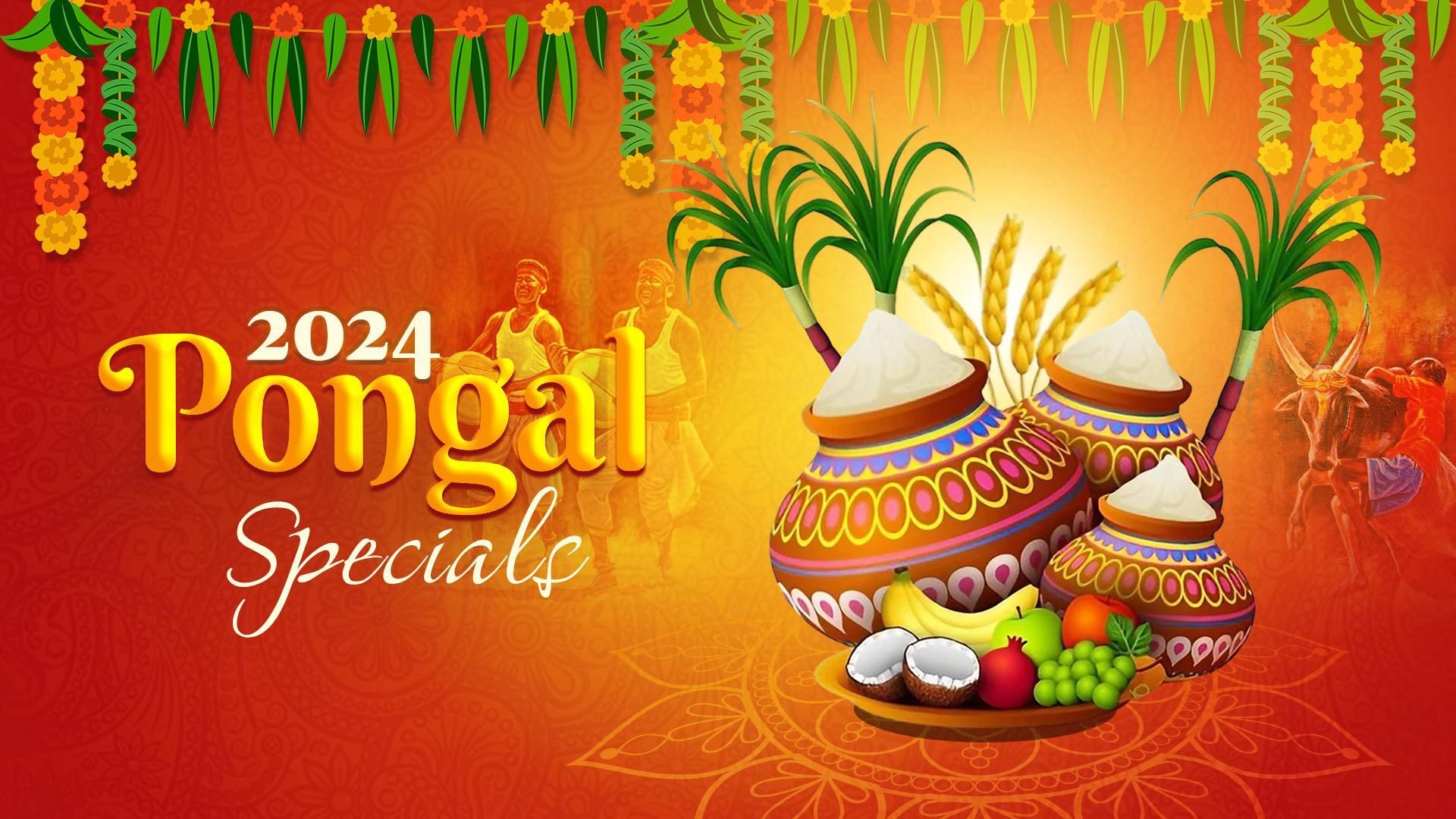 Pongal Special 2024