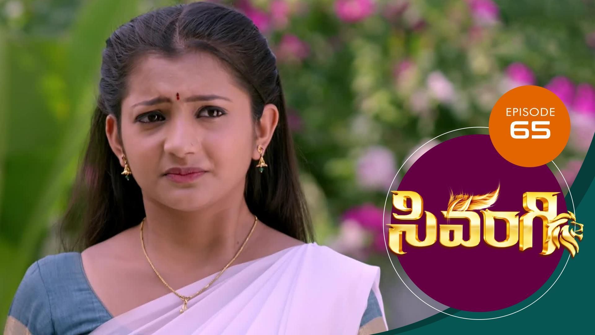 Watch Live TV Shows only on Watcho