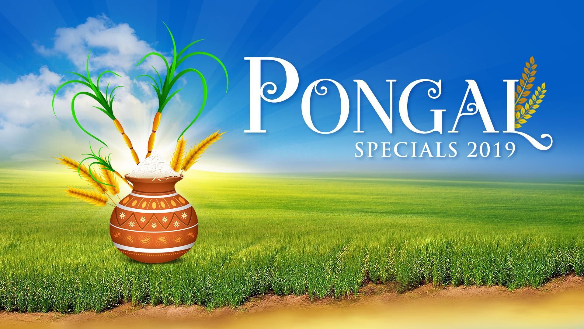 Pongal Special - 2019