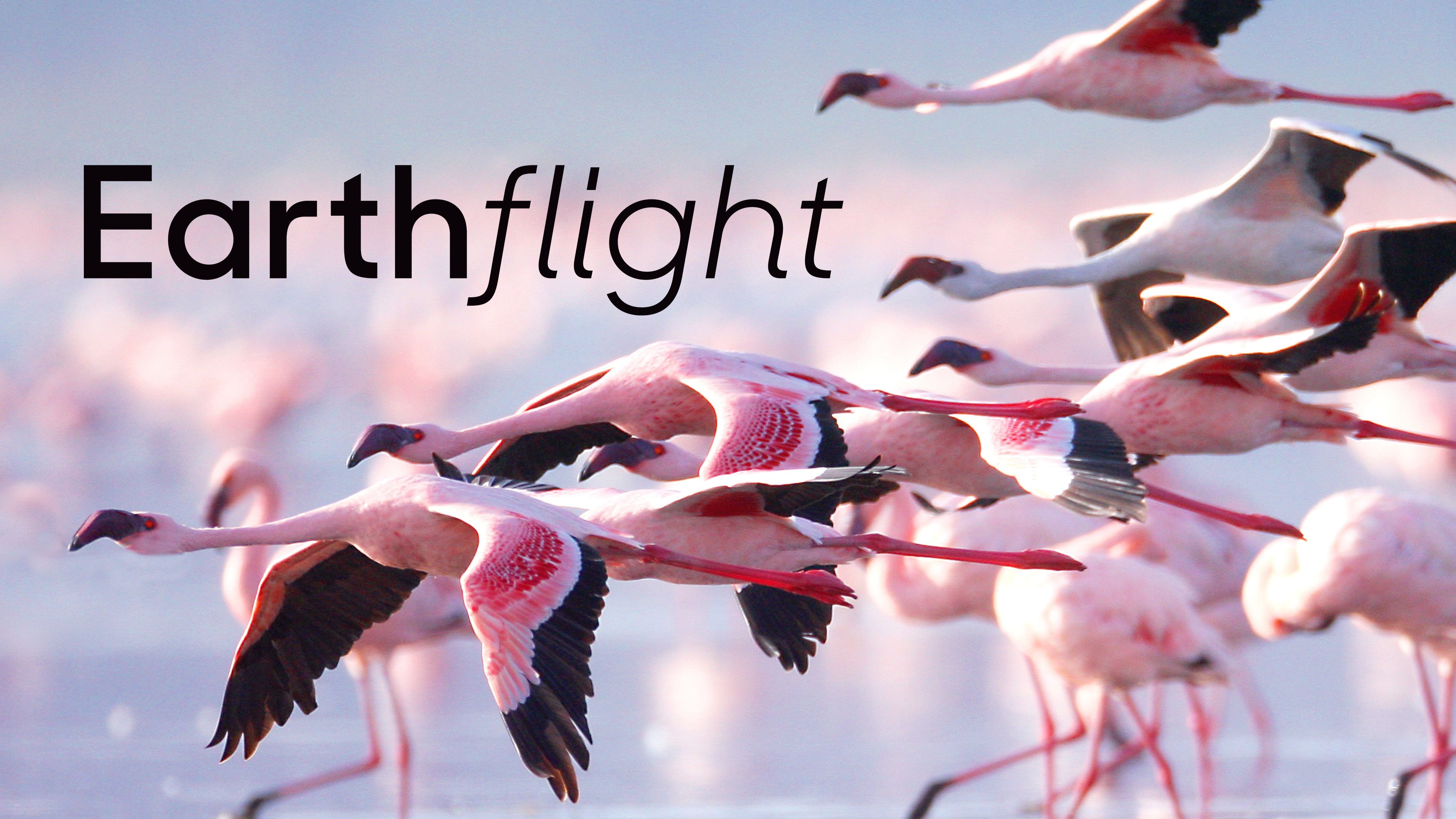 Earthflight