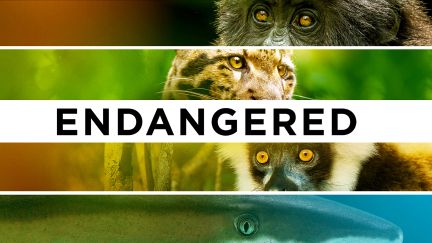 Endangered - Earth Day Special