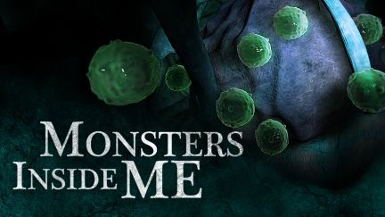 Monsters Inside Me