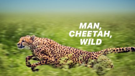 Man, Cheetah, Wild