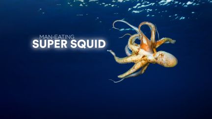 Man-Eating Super Squid