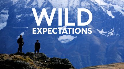 Wild Expectations