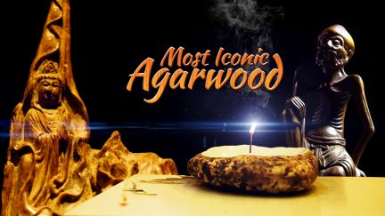 Most Iconic: Agarwood