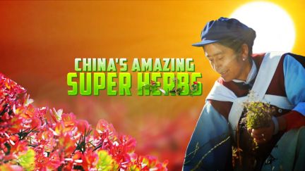 China's Amazing Super Herbs