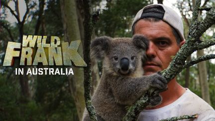 Wild Frank In Australia