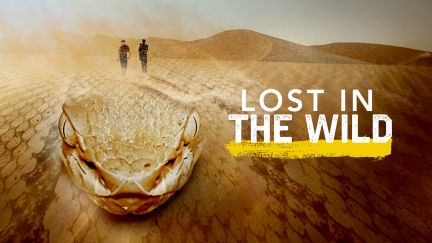 Lost in the Wild: India's Bermuda Triangle