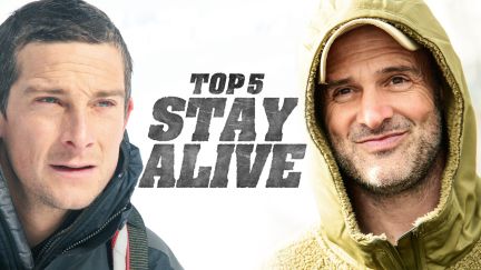 Top 5 Stay Alive