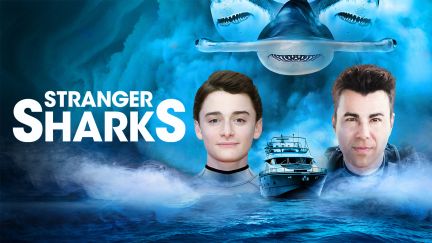 Stranger Sharks