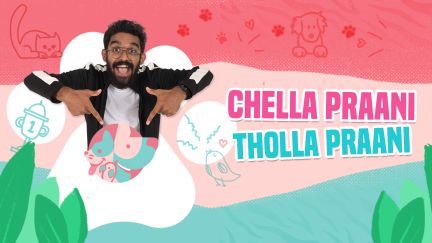 Chella Praani Tholla Praani