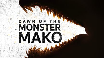 Dawn of the Monster Mako