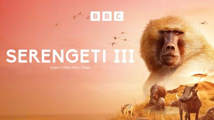 Serengeti III