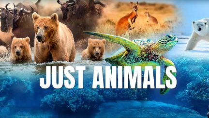 Just Animals