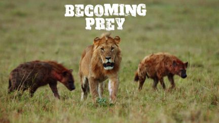 Becoming Prey