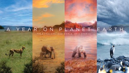 A Year On Planet Earth