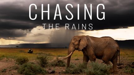 Chasing The Rains