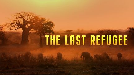 The Last Refuge