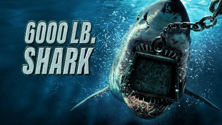 6000-LB. Shark