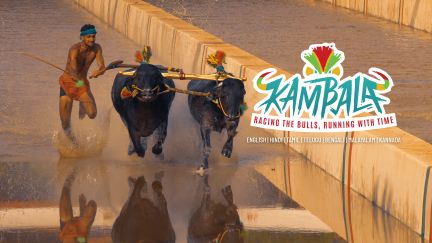 Kambala: Racing the Bulls