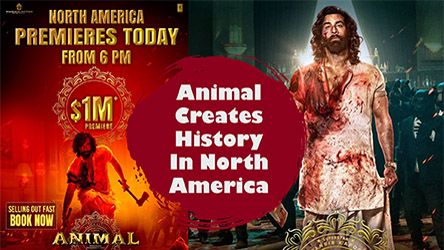 Animal Creates History In North America