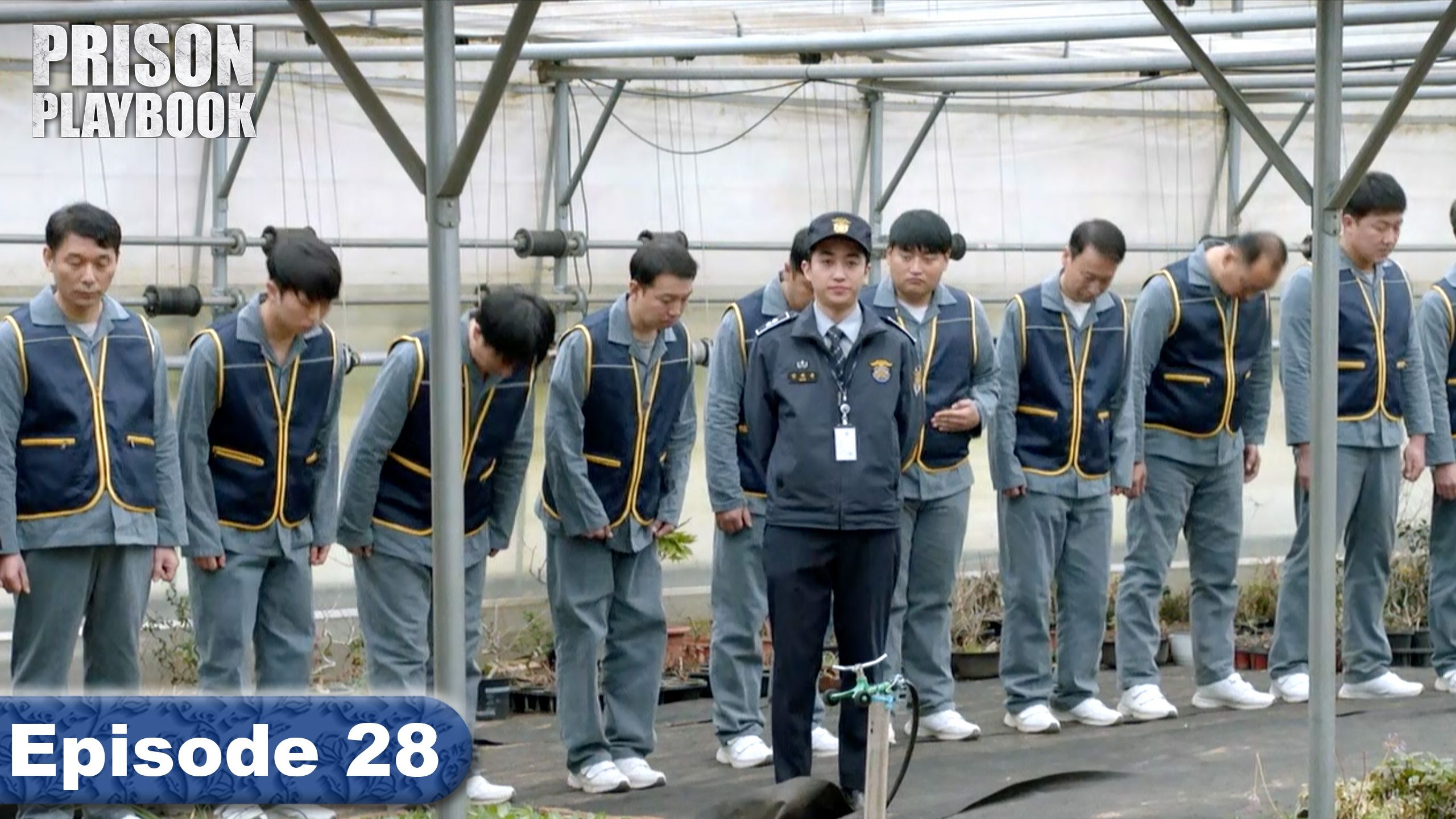 Episode 28 - Prison Playbook