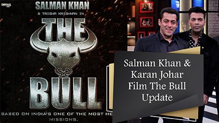 Salman Khan And Karan Johar Film The Bull Update