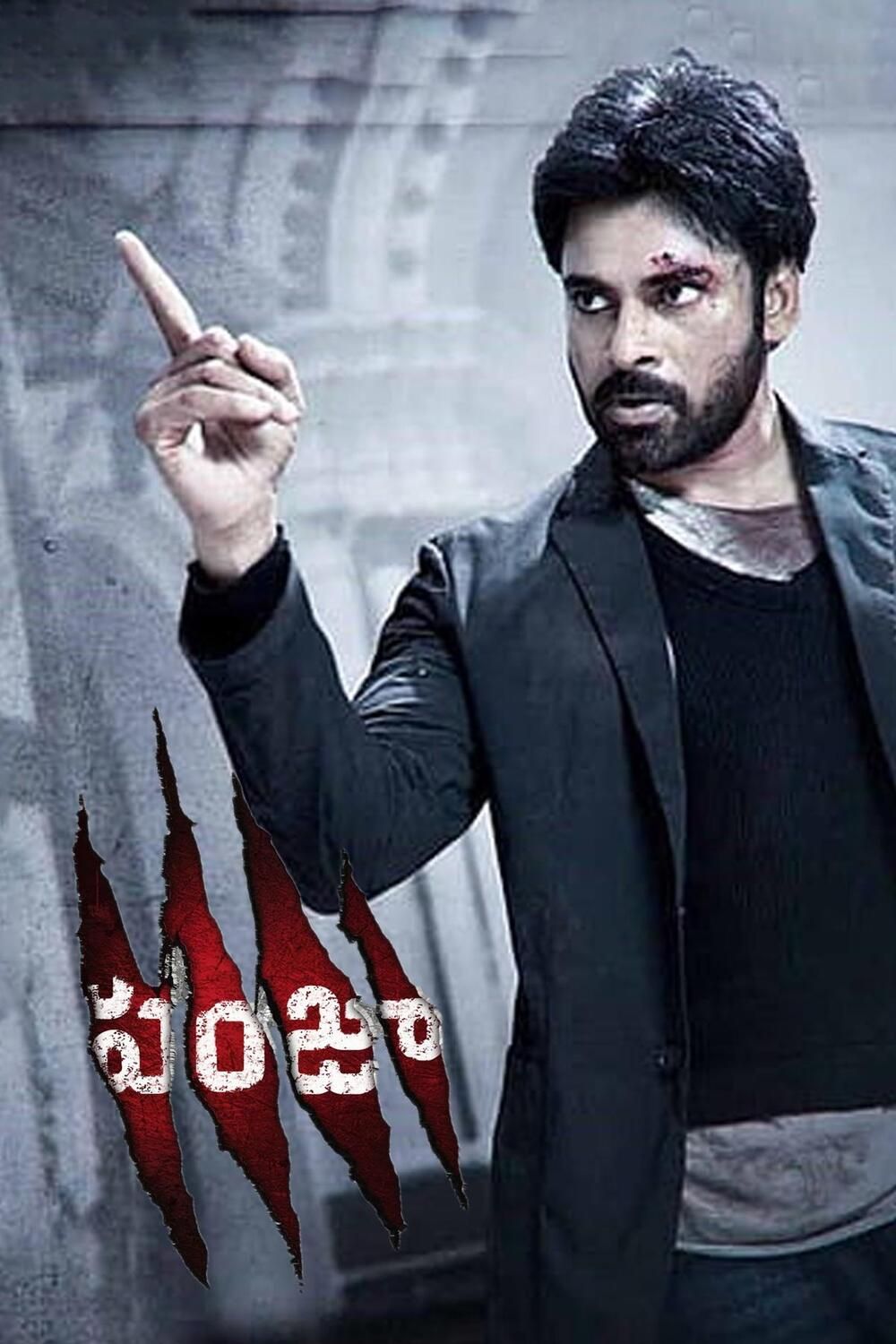 Panjaa